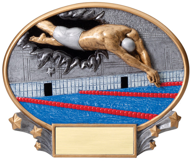 Male Swimming 3D Plate Trophy